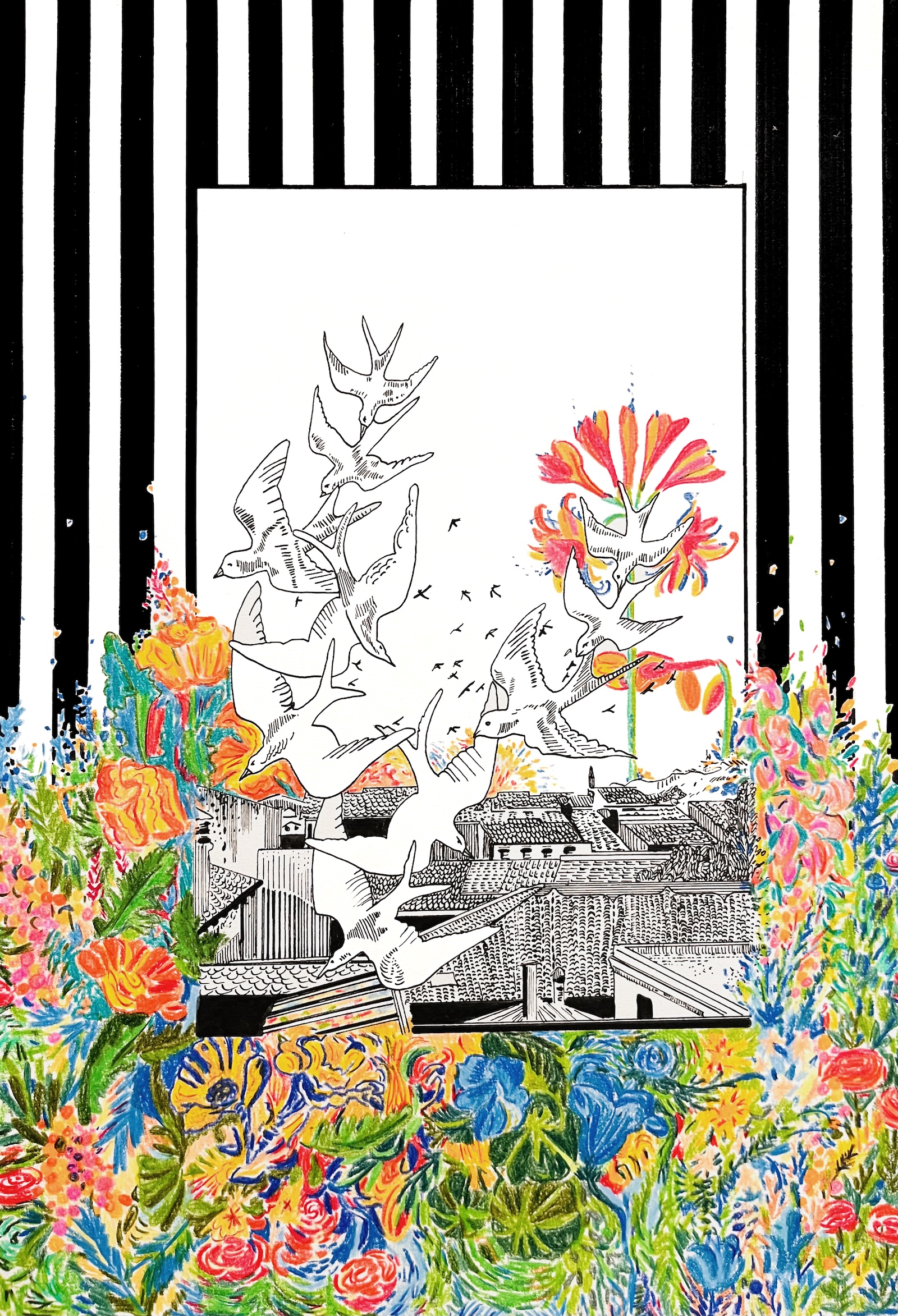 10 hirondelles et le printemps n'est plus tr�s loin, 2025