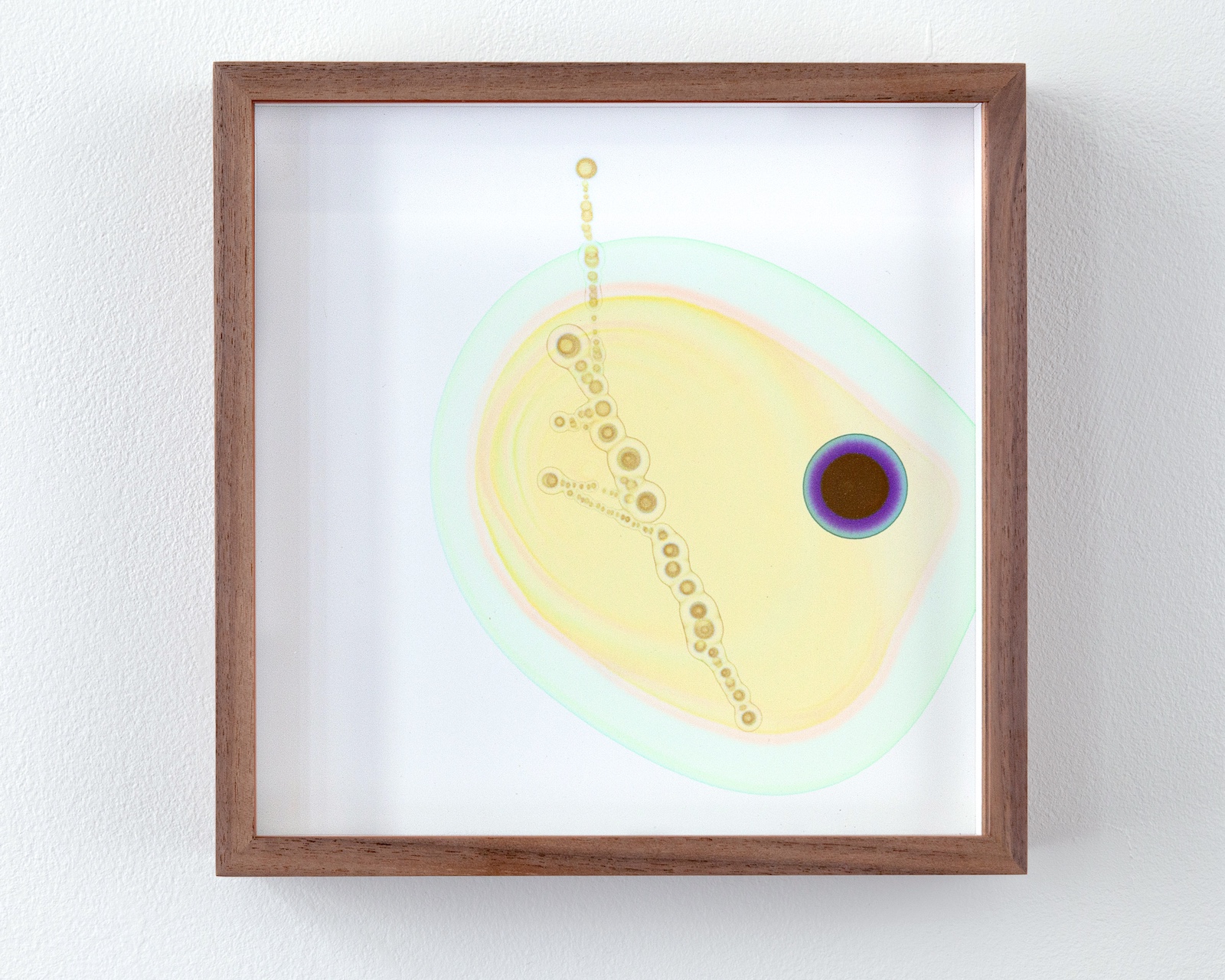 Julien Discrit