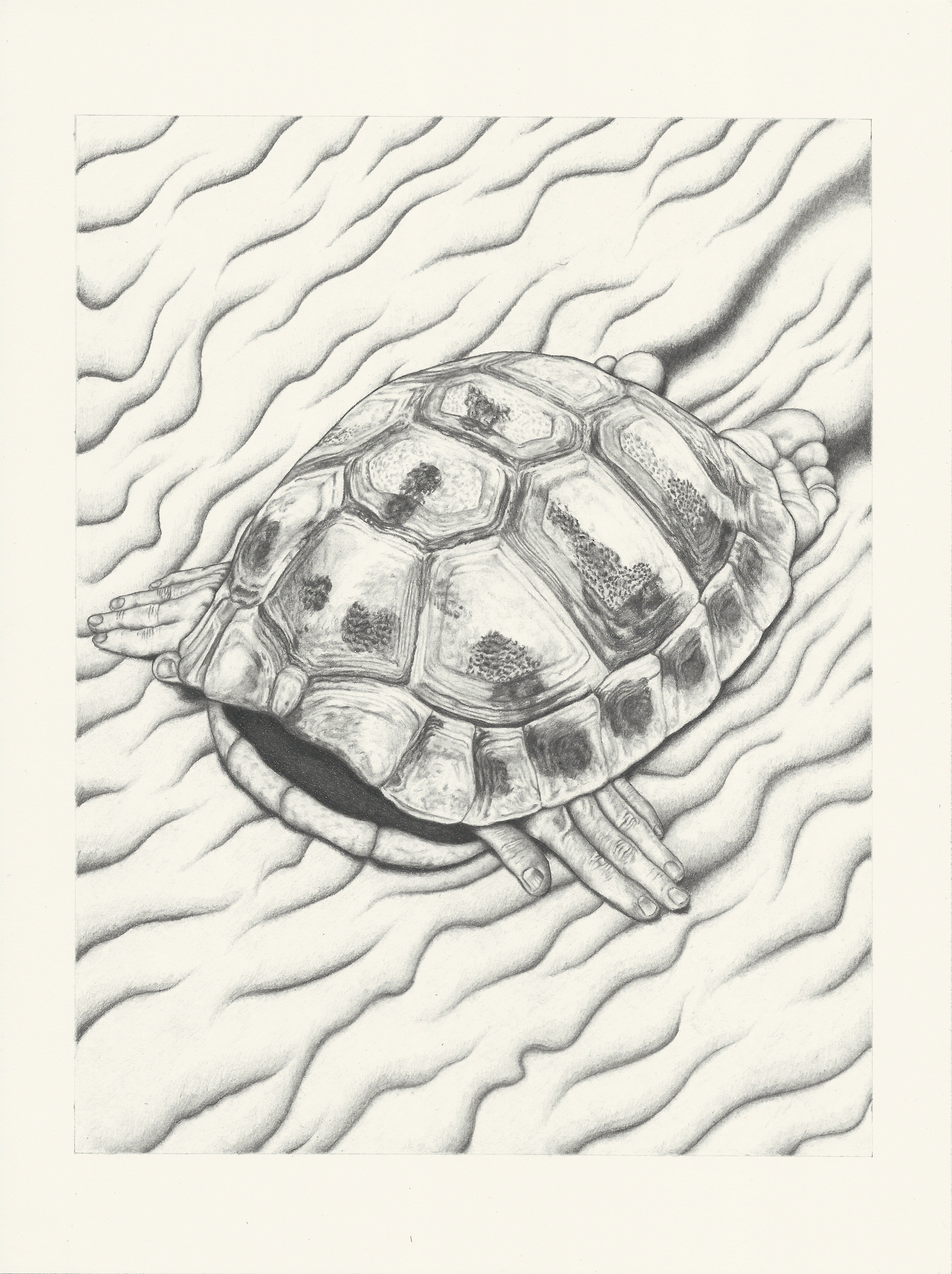 Ghost in the Shell, 2023