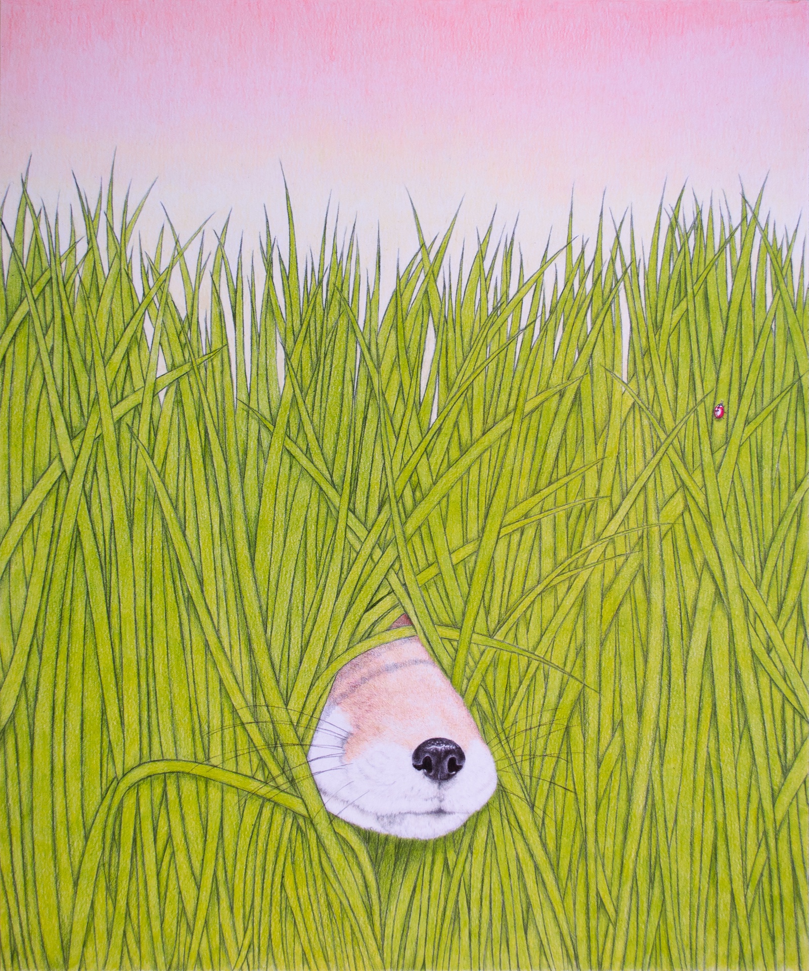 Les hautes herbes II, 2025