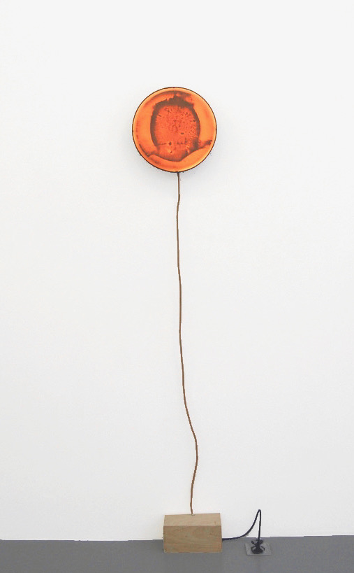 Fragments d'un discours esth�tique