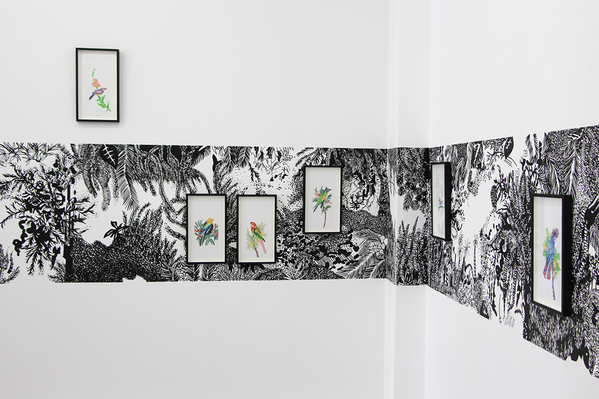 � ... et des �chelles pour les oiseaux �