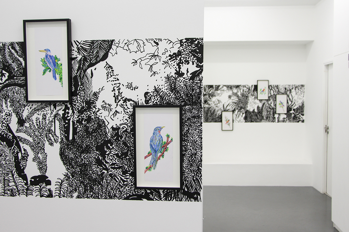 � ... et des �chelles pour les oiseaux �